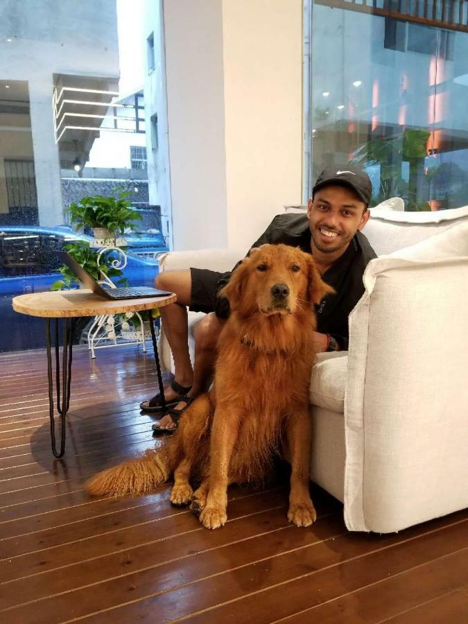 張家界武陵源北岸輕奢客棧 森林公園店 Hotel Жангжиаже Екстериор снимка